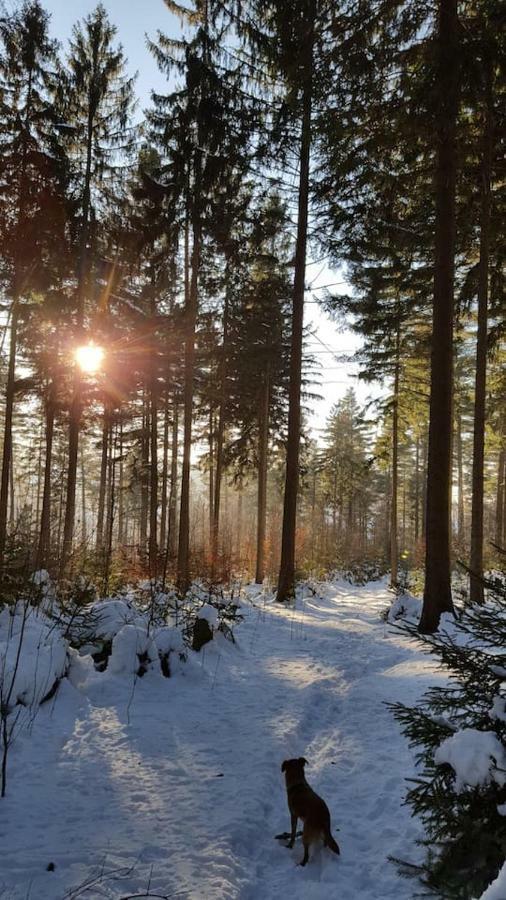 Im Erzgebirge Wandern, Fahrrad Fahren Oder Entspannen Ehrenfriedersdorf Dış mekan fotoğraf