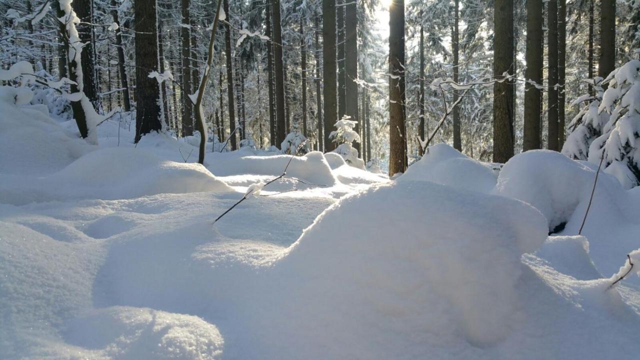 Im Erzgebirge Wandern, Fahrrad Fahren Oder Entspannen Ehrenfriedersdorf Dış mekan fotoğraf